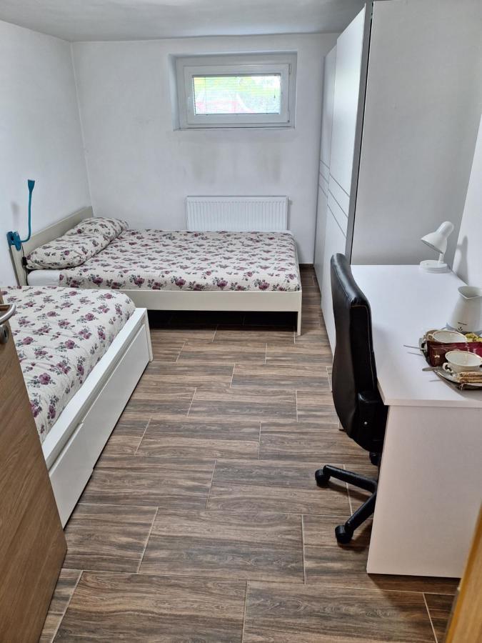 לובליאנה Guesthouse Flower מראה חיצוני תמונה