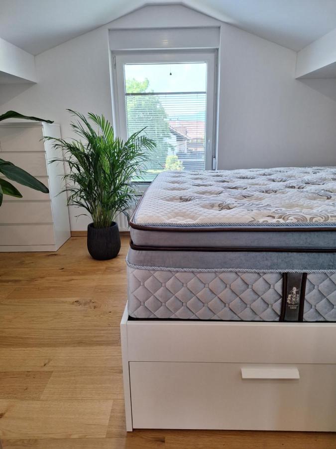 לובליאנה Guesthouse Flower מראה חיצוני תמונה