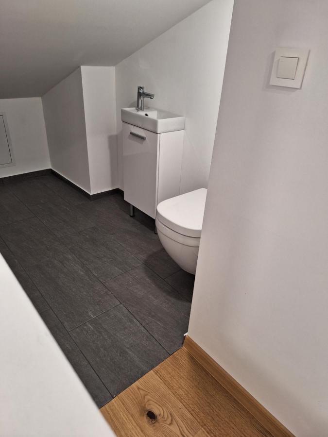לובליאנה Guesthouse Flower מראה חיצוני תמונה