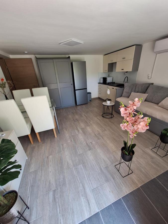 לובליאנה Guesthouse Flower מראה חיצוני תמונה