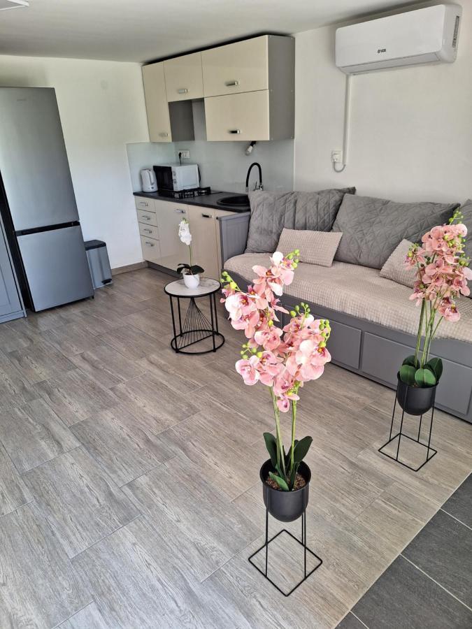 לובליאנה Guesthouse Flower מראה חיצוני תמונה